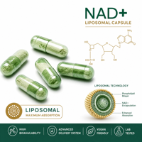 OEM ODM Liposomal NAD+ 500mg Trans-Resveratrol 50mg Antioxydant hautement biodisponible Capsules végétales 60 unités Soutient l'énergie cellulaire