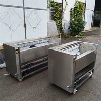 MA Fabrikant Fruit- en groentewas- en schilmachines Verwerkingsinstallaties Commercieel gebruik Eenvoudige bediening 220V