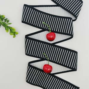 Cinta Elástica Tejida de Alta Calidad de 48 mm, Múltiples Colores, Material de Goma de Alta Elasticidad para Cinturillas y Ribetes de Prendas DIY - Product Image 3