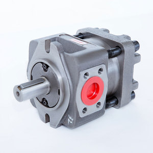 ปั๊มไฮดรอลิกแบบเฟืองภายในขนาดกลาง Lufeng NBL2-D10 QT PUMP รุ่น QXEHX32/QXEHX32-010 ความจุ 10 ซีซี/รอบ  แรงดันใช้งาน 180 บาร์ - Product Image 5