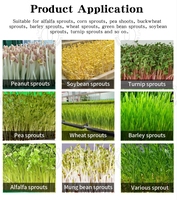 Conteneur d'expédition avec éclairage LED pour la culture hydroponique de l'orge, des germes de maïs, de la fourrage pour l'alimentation des volailles