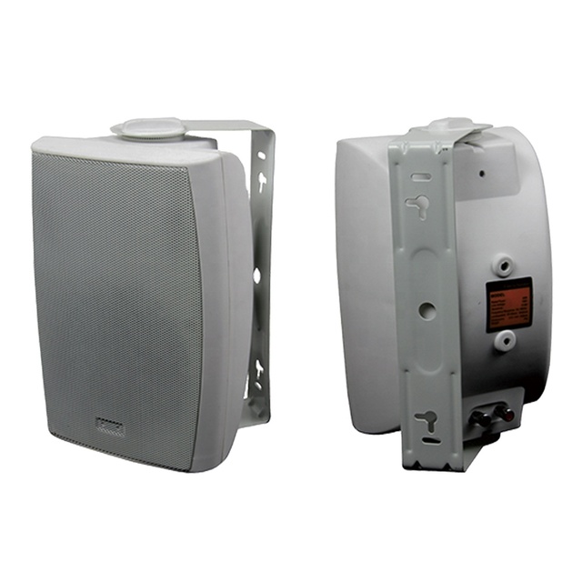 Factory Direct Sales Wholesale 40w 4 Ohm 70V 100V Adjustable Wall Mount Speaker Woofer Speaker