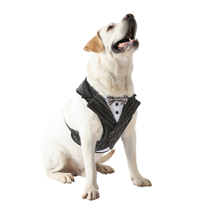 Harnais de luxe élégant pour animaux de compagnie, motif écossais, anti-étranglement, pour des promenades élégantes et sûres - Product Image 4