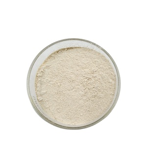 Alta calidad Garcinia Cambogia Extracto de semilla Cambogia Garcinia polvo Cambogia Garcinia extracto - Product Image 4