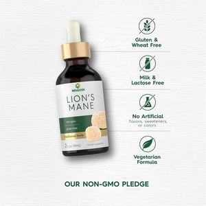 Oem/odm ผู้ใหญ่ cognitive ฟังก์ชั่นสนับสนุนสมุนไพรสารสกัดจากธรรมชาติ Lions mane Main เห็ดหยอดการสนับสนุนสุขภาพสมอง - Product Image 6