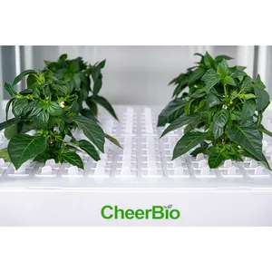 Skyplant Wholesale Garden Decoration Movable Smart Planter Intelligent Hydroponic Growing Systems Indoor Herb Garden