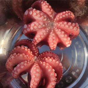 Fabricantes al por mayor de mariscos congelados Big Octopus vulgaris Frozen Octopus Delicious Octopus Factory Outlet Sin sazonado - Product Image 2