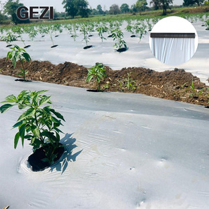 Film de paillage agricole en polypropylène (PP) non tissé biodégradable, <span class=keywords><strong>anti</strong></span>-roussissement, avec trous, noir, pour l'agriculture - Product Image 3
