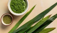 BAISFU Essence de saveur synthétique de Pandan (huile d'algues) pour applications alimentaires et industrielles - Additif aromatisant