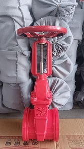 Vanne de porte de lutte contre l'incendie rainurée à tige montante en fonte ductile à siège résilient - Product Image 5