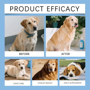 Golosinas Masticables para Perros con Colágeno Tipo II, Curcumina y Omega 3 para la Salud Diaria de las Articulaciones, Marca Privada, 50 Unidades, Suministro Directo de Fábrica - Product Image 6