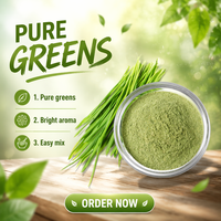 Biologisch tarwegraspoeder bulk natuurlijk groen superfood poeder voor smoothies functionele dranken en voedingssupplementen OEM ODM