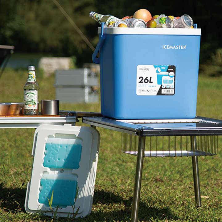 Icemaster 26L Insulated Food Fresh Picnic Ice Cooler Box