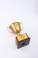 Trofeo de Metal y Madera Personalizado, Premio de PVC para Campeones Deportivos, Medalla de Oro, Copa de Campeones de Fútbol, Placa Conmemorativa