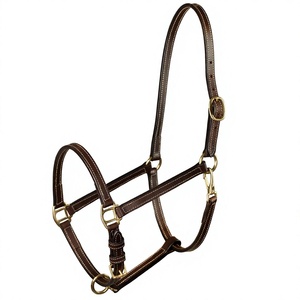 Harnais pour cheval en cuir de haute qualité avec logo personnalisé, marron, noir, bleu, avec boucle en laiton, fabricant de colliers pour chevaux, Kanpur, Inde - Product Image 1