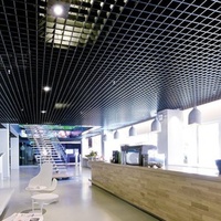 Plaques de plafond décoratives en aluminium, plafond suspendu, faux plafond, grilles métalliques
