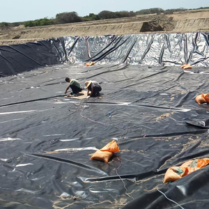 Trung Quốc Địa Kỹ Thuật Tổng Viện Đã Được Phê Duyệt Bởi Chính Phủ Cung Cấp Màng Chống Thấm Vải Địa Kỹ Thuật Geogrid Geocell - Product Image 4