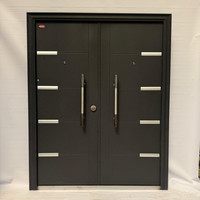 Porte d'entrée double sur mesure avec cadre en acier robuste, traitement de surface anti-corrosion, fournisseur