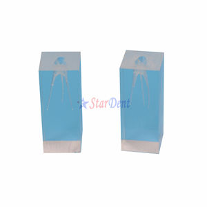 الأسنان كتلة بلاستيكية إندو كتلة تدريب ثلاثة قناة الجذر الممارسة حشو الأسنان نموذج طب الأسنان - Product Image 3