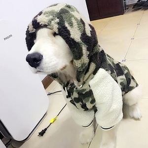 Chaqueta Casual con Capucha para Perro, de Algodón Estampado, para Razas Medianas y Grandes, Abrigo de Invierno para Mascotas - Product Image 3