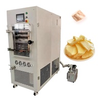 Automatische vacuümvriesdroger voor fruit- en groentechips / Vacuümvriesdroger voor voedsel / Vacuümvriesdroogmachine
