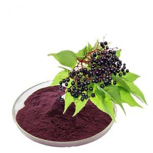 Cơm cháy trái cây Chiết Xuất 25% anthocyanin <span class=keywords><strong>Sambucus</strong></span> <span class=keywords><strong>nigra</strong></span> chiết xuất - Product Image 1