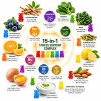 Compléments et vitamines en gommes 15-en-1 sans sucre pour le cortisol, l'ashwagandha, le magnésium, le folate et la vitamine B12, pour le soulagement du stress et le soutien énergétique