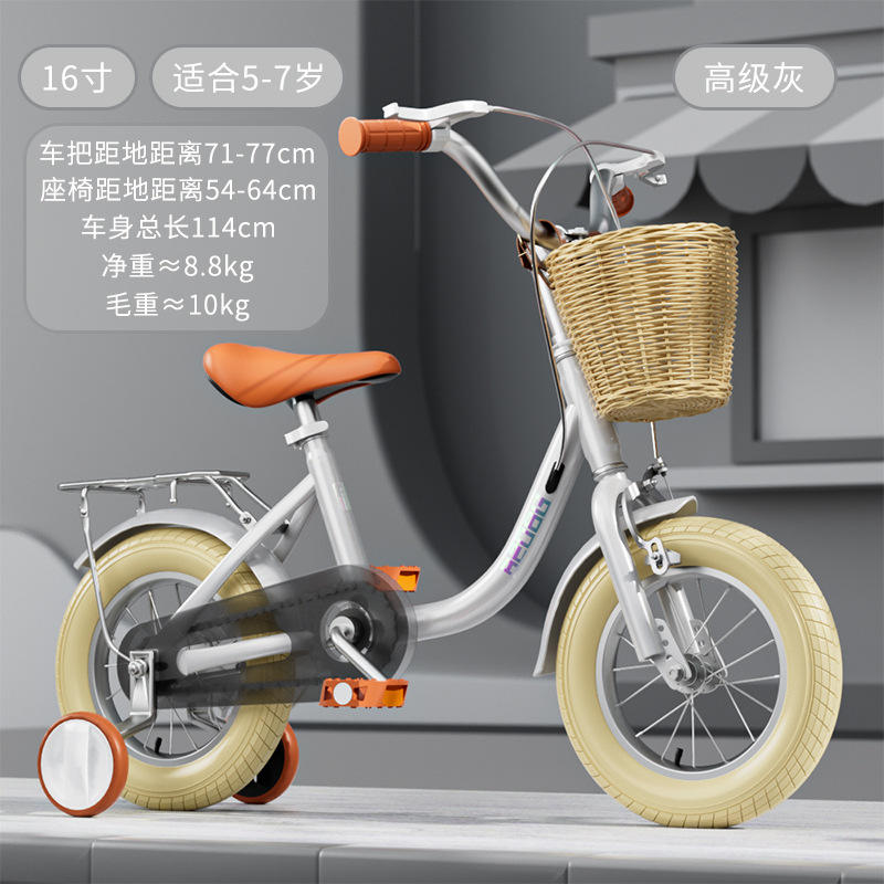 Édition Deluxe Grise Premium