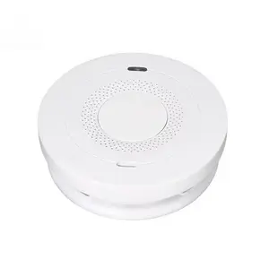 10 year smoke alarm detection LED red light voice 2 in 1 household gas alarm