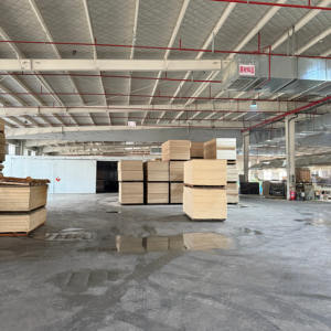 Contreplaqué de peuplier chinois 18mm 1220*2440mm E0 E1 pour meubles et armoires - Product Image 5