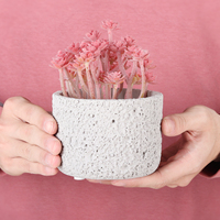 Pot de fleur créatif en céramique volcanique, bassin suspendu à texture naturelle, ornement d'aromathérapie, nouvelles idées de produits 2024