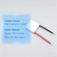 Module de réfrigération thermoélectrique Peltier TEC TES1-03102 10x10x3.6mm, module de réfrigération semi-conducteur 3V 2A 3.8W