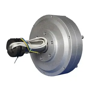 Générateur de rotateur externe avec aimant permanent, 100w, 300 tr/min, 12V, 24v, 48v, disque magnétique sans noyau