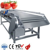 Nieuwe turnkey project tomatenpuree verwerkingsinstallatie automatische drankenproductielijn warmtewisselaar roestvrij staal