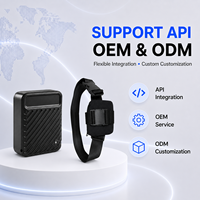 Localizador GPS Inalámbrico 2G WiFi con Alarma de Vibración y Luz, Reproducción de Rutas, Soporte OTA Remoto, API, OEM, ODM, Plataforma Multi-Idioma