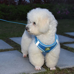 リーシュ通気性メッシュペットハーネス付き屋外反射ハーネス - Product Image 4