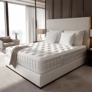 Matelas à ressorts en latex hypoallergénique personnalisé Oem & Odm de fabrication professionnelle mousse à mémoire de forme dans une boîte