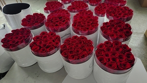 Idées cadeaux Saint-Valentin 2024 : Rose éternelle fantaisie pour l'inauguration de maison 2023 pour elle - Product Image 6