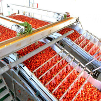 Meilleur prix ligne de production de pâte de tomate Machine de traitement automatique de sauce tomate