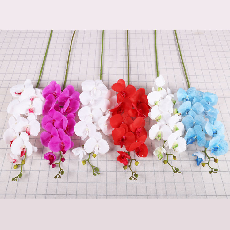 ประเภทที่ 3