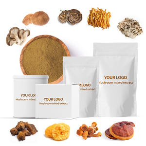 Poudre d'extrait de champignons à base de plantes de haute qualité, prix de gros OEM, Crinière de lion, Reishi, Chaga, Wuling, corps de fruit entier - Product Image 1