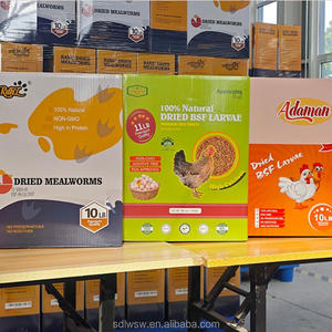 Kurutulmuş Ekmek Kurtları Toptan Satışı Kuşlar Hamsterlar Süs Balıkları Kaplumbağalar Evcil Hayvan Yemi Liwei - Product Image 5