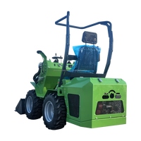 Vente en gros de haute qualité personnalisé à roues 390 Briggs & Stratton moteur à essence 200kg charge nominale charge élevée Moment Skid Steer Loader