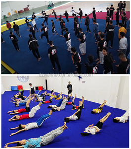 Fourniture d'usine <span class=keywords><strong>tapis</strong></span> de pom-pom girl <span class=keywords><strong>tapis</strong></span> en mousse collée à vendre utilisé <span class=keywords><strong>gymnastique</strong></span> <span class=keywords><strong>tumbling</strong></span> <span class=keywords><strong>tapis</strong></span> de <span class=keywords><strong>gymnastique</strong></span> <span class=keywords><strong>tapis</strong></span> de lutte - Product Image 5