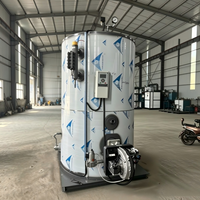 Chaudière à eau chaude verticale au gaz de 0,35 MW, installation facile, longue durée de vie, pour les maisons d'hôtes, chauffage central
