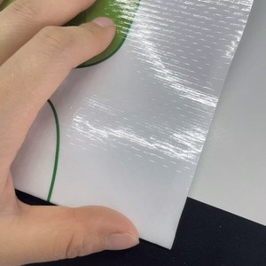 Sac tissé en PP laminé BOPP transparent, fond carré, pour 10kg, 20kg, 25kg de <span class=keywords><strong>noix</strong></span> et graines de tournesol, <span class=keywords><strong>prix</strong></span> usine - Product Image 4