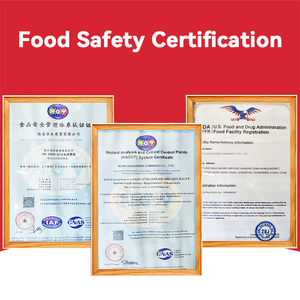 Chinaherbes il più venduto metabolismo dell'aceto di sidro di mele che dimagrisce velocemente i Gummies perdita di peso vitamine ACV - Product Image 3