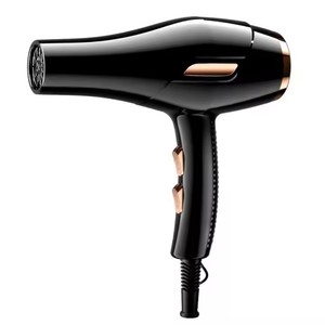 Secadores de Pelo Personalizados Profesionales para Salón, Ligeros, de Alta Velocidad, con Iones Negativos, Secador de Pelo Turbo de un Solo Paso - Product Image 1