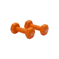 Haltères hexagonaux en néoprène antidérapants en fonte pour femmes, yoga, pilates, cardio, fitness, avec logo personnalisé, paires de poids de main en néoprène