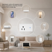 Tuya WiFi 2.4GHz Smart Socket Pengukur Daya 16A Colokan AS Kontrol Jarak Jauh Pengaturan Waktu Suara dengan Alexa Google Home Automation